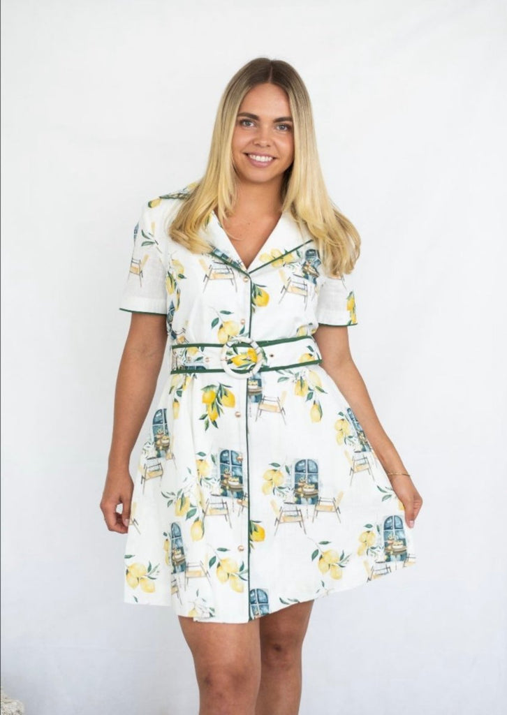 Laila Mini Dress - Indy Love Boutique