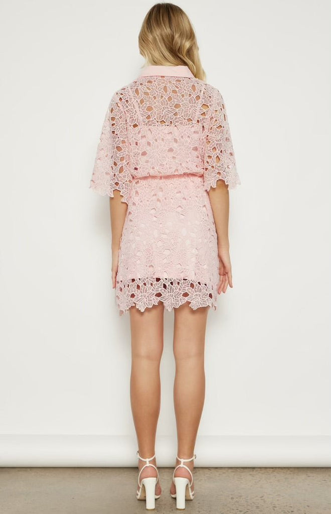 Daisy Lace Dress - Indy Love